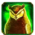 Madame Destiny Megaways - Owl Symbol