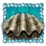 Oyster
