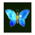 Panda Money - Butterfly Symbol
