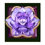 Panda Money - Purple Lotus Symbol