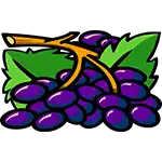 Pentagram - Grapes