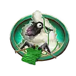 Piggy Bank Farm - Sheep