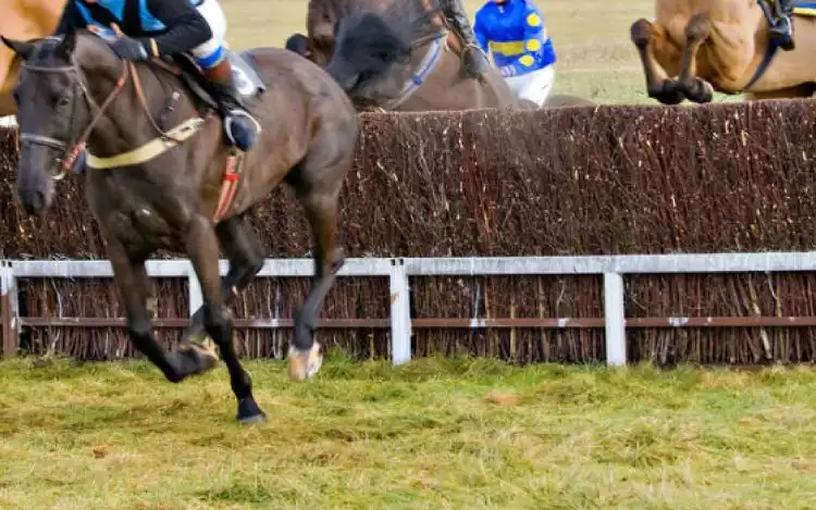 Plain Fence in a horse race