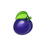 Plum