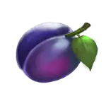 Plum