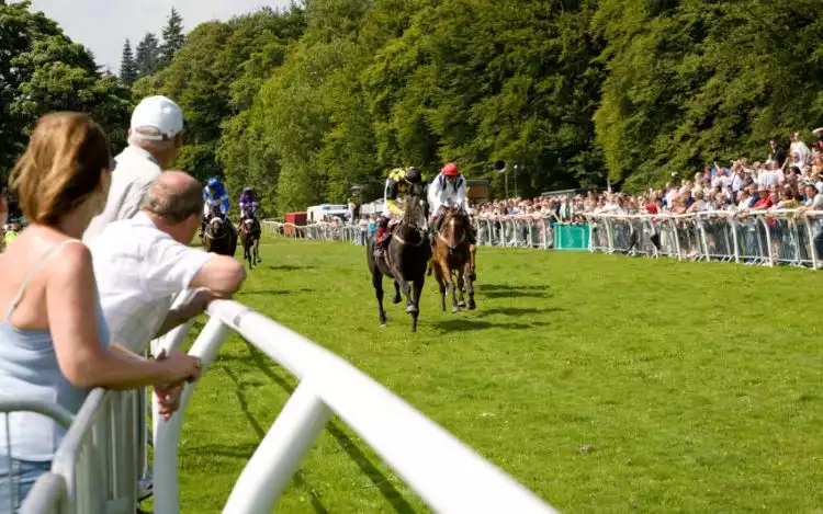 point-to-point-race in the uk with spectators