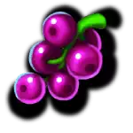 Wizzy Trix - Purple Berries Symbol