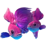 Splashtastic! - Purple Fish Symbol