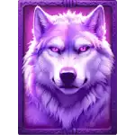 4 Wolves of Fortune - Purple Wolf Symbol