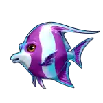 Purple and White fish