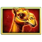 Queen of Oasis - Camel Symbol