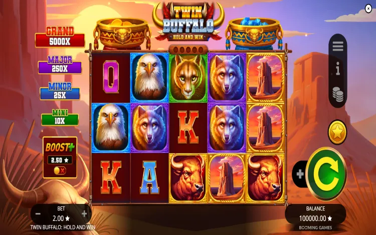 Twin Buffalo Hold and Win - RTP and Wagering