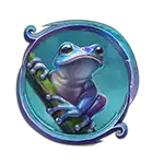 Rainforest Magic - Frog
