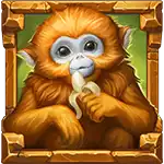 Rainforest Magic - Monkey