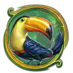 Rainforest Magic - Toucan