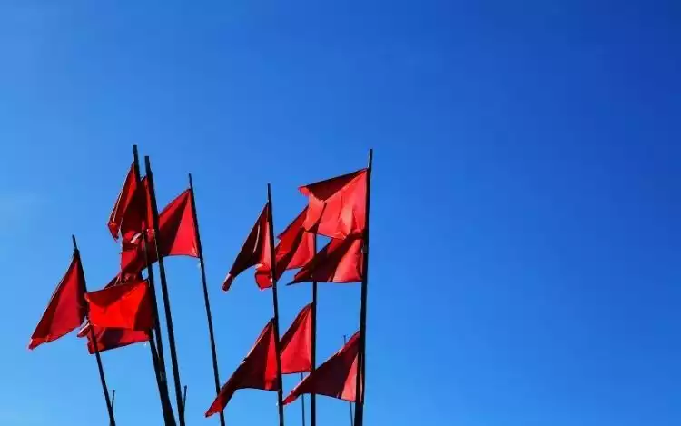 Risks, Red Flags, and When to Watch Out