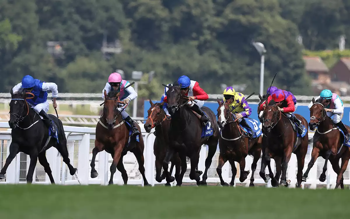 Imperial Cup day Betting Tips - Sandown, Saturday