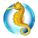 Seahorse