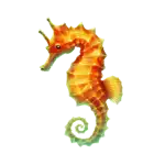 Seahorse
