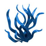 Seaweed Blue