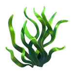 Seaweed Green