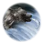Shamans Dream Bears Symbol