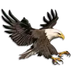 Shamans Dream Eagle Symbol