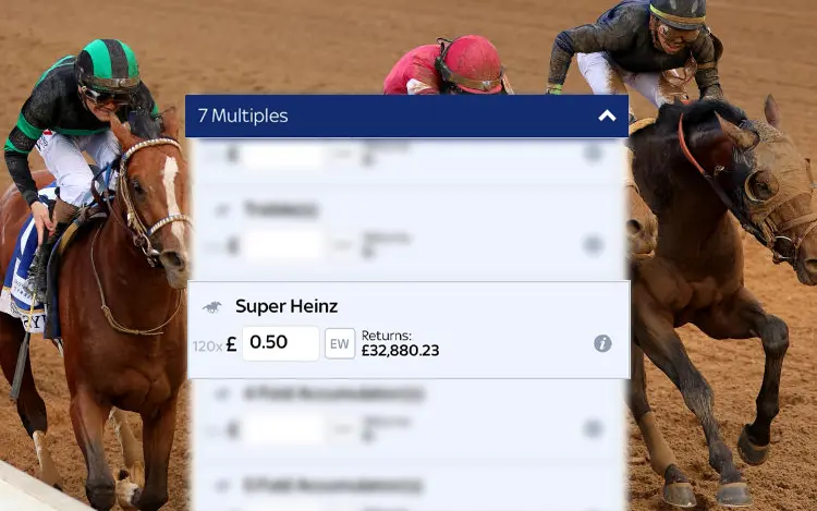 Super Heinz Bet Explained Selections, Stakes, and Potential Payouts