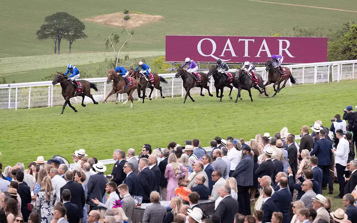 Qatar Sussex Stakes Betting Tips - Glorious Goodwood
