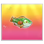 Medium Fish