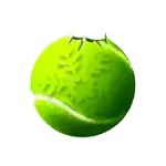 Tennis Ball