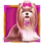 The Big Dog House - Shih Tzu Symbol