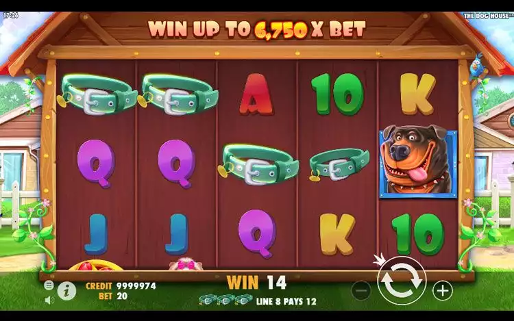 The Dog House RTP and Wagering