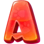 The Dog House Megaways 1000 - Ace Symbol