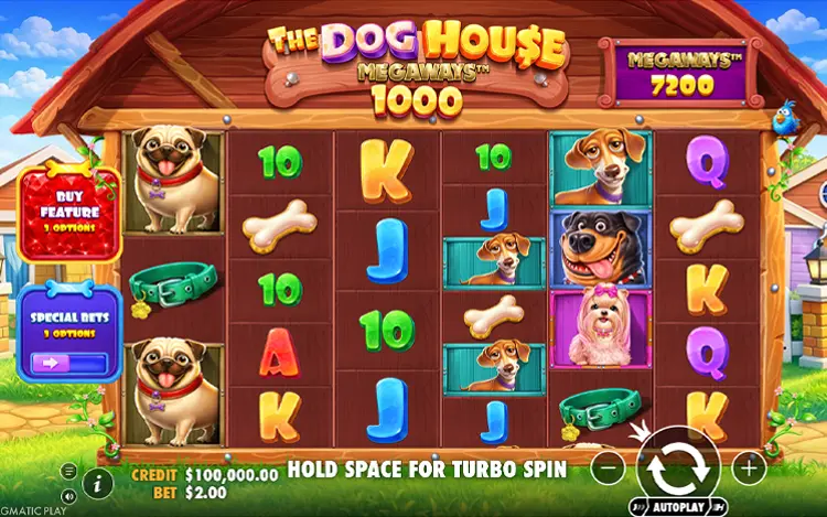 The Dog House Megaways 1000 - RTP & Wagering