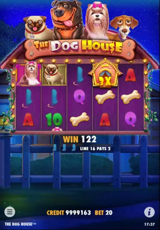 The Dog House mobile win