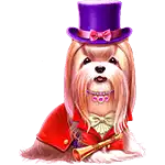 The Dog House - Royal Hunt - Maltese in a Purple High Top Hat Symbol