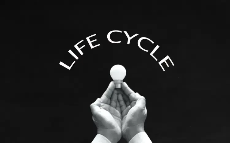 The Lifecycle of an Online Casino Game From Concept to Launch