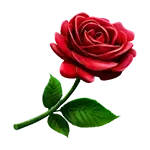 The Mighty Toro - Rose Symbol