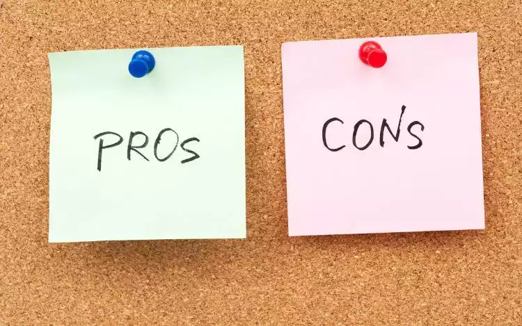 The Pros and Cons High Hopes vs. Hard Truths