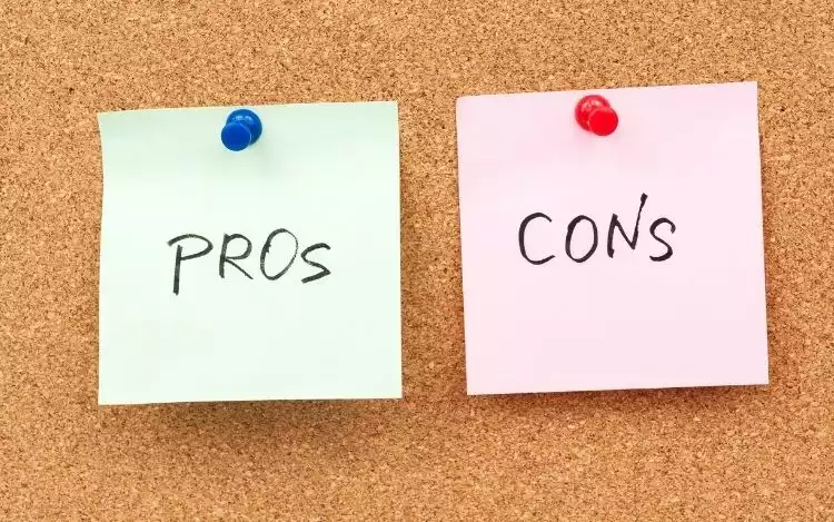 The Pros and Cons of the Kelly Criterion System