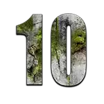 The Walking Dead The Ones Who Live - Ten Symbol