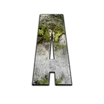 The Walking Dead The Ones Who Live - Ace Symbol