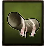 Toilet Paper