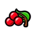 Triple Double Diamond - Cherry Symbol