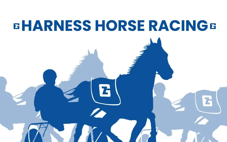 Types of Horse Racing copy