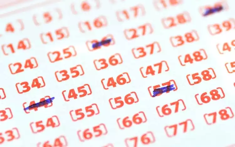 Understand the Number Distribution