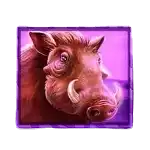 Rhino Rampage - Warthog Symbol