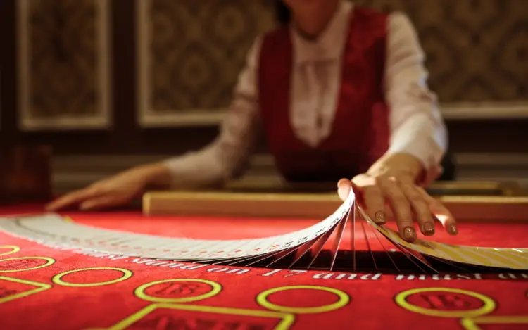 What Are Automatic Blackjack Shufflers Used For