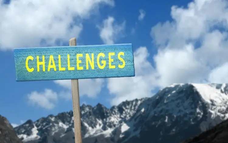 What Are the Challenges of Connecting So Many Providers